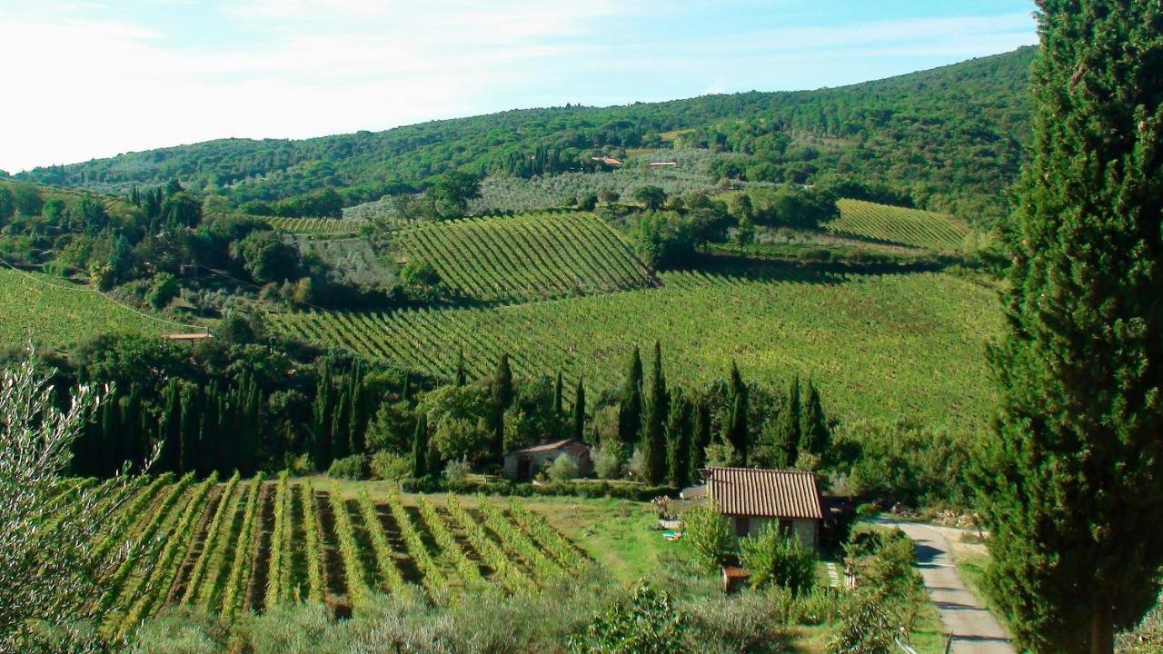 B&B Podere Montese San Gimignano Exterior foto